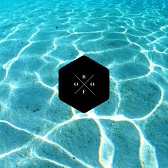 ROOF - JANUARY LIVE MIX 2014