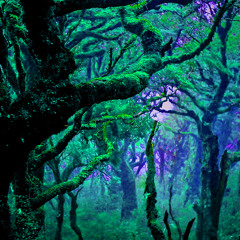 Говорит треска улитке (live)