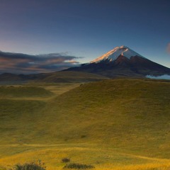 PABLO ARROYO    Faltándome tú