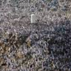 الله اكبر كبيرا والحمد لله كثيرا وسبحان الله بكرة وأصيلا  at Tanger