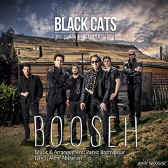 Black Cats - Boose