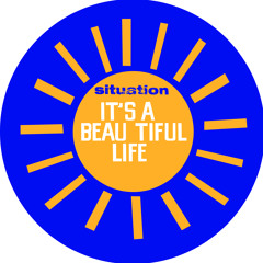Situation - It's A Beautiful Life (Rayko Spectral Disco Dub RemIx)