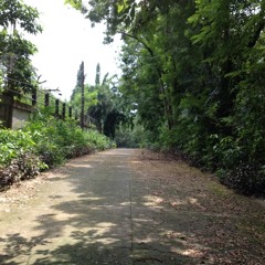 Wine Red: The Hush Sound