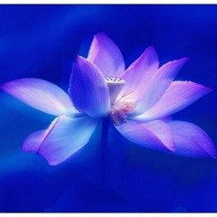Blue Lotus (tribute to Flying Lotus)