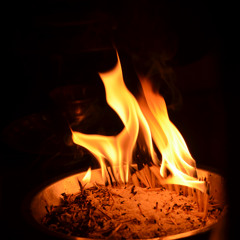 Madhava Prabhu -  Kirtan @ Maan Sarovara  08-11-2013