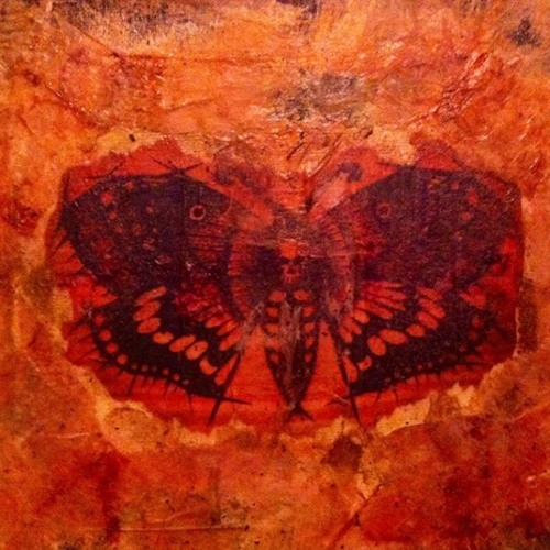 Papilionidae