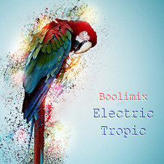 Boolimix - Electric Tropic