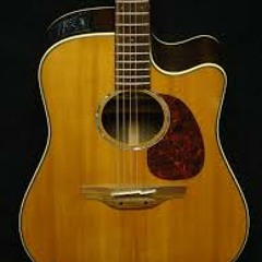 Takamine pro + Cooltube + triax A-minor picking