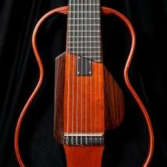 Chorando Pra Pixinguinha (violão Silent 8 Cordas)_Marco Ruviaro violonista.
