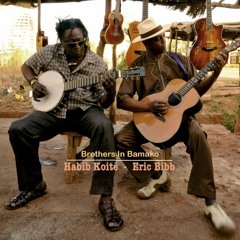 Habib Koité & Eric Bibb - BROTHERS IN BAMAKO - 05 We Don't Care