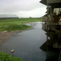 Ampar-Ampar Pisang (lagu daerah khas Banjarmasin) at Yogyakarta