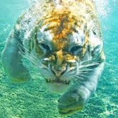 #Can you turning down