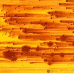 Foam