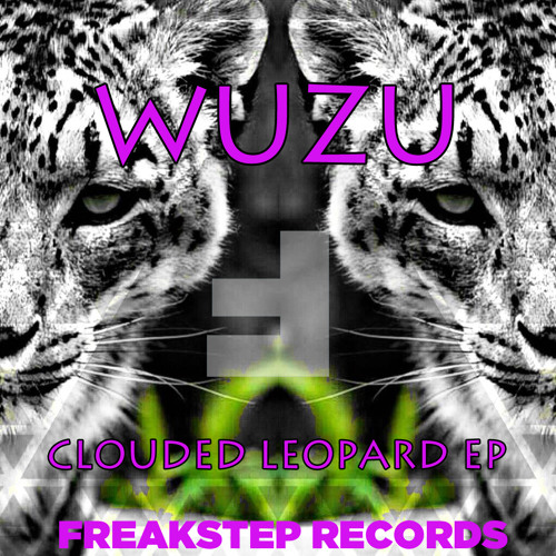 Wuzu - Clouded Leopard