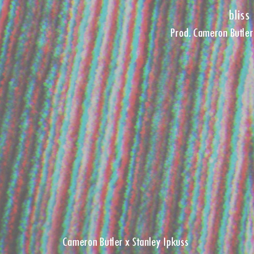 Cameron Butler- Bliss Feat. Stanley Ipkuss [Prod. Cameron Butler]