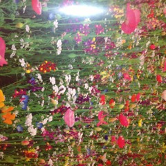 Galaxy High Feat. Lui Go Gang, Fred B.E.Z., J.O. Cizzle (Prod. Trav'sty)