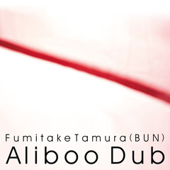 HIDENKA × Fumitake Tamura / aliboo remix