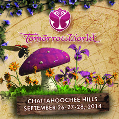 TomorrowWorld 2014