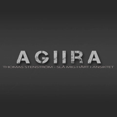 Thomas Stenström - Slå Mig Hårt I Ansiktet (Agiira Remix)