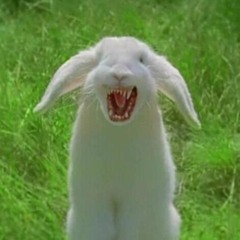 Roger Rabid