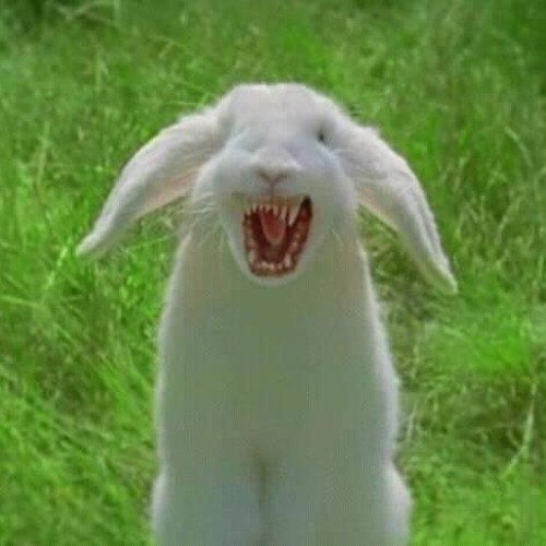 Roger Rabid