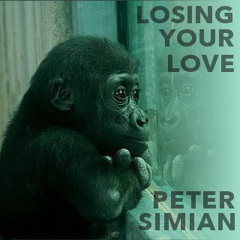 Peter Simian - Losing Your Love