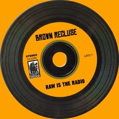 Brown Recluse - Nowhere Is Not Always Pole Apart Of Somewhere