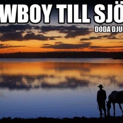 Cowboy till sjöss