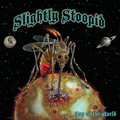 Slightly Stoopid - Top of the World (Live Dub Architect Mix)