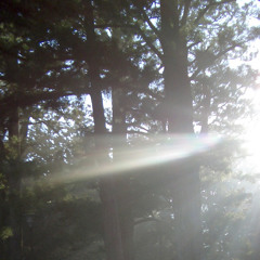 20041210 Japan, Koyasan - Temple and Tanoy