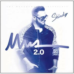 Shindy - immer immer mehr ft. Bushido & Sido (C&S Production Remix)