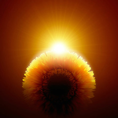 John Sabian - Eternal Sunshine