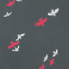 Cartas al rey de la Cabina. Fragmento. De Luis Pescetti