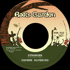 Stranger / Stranger Version - Daphne BlueBird & Manasseh (preview clip)