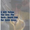 I Will Follow You Into The Dark