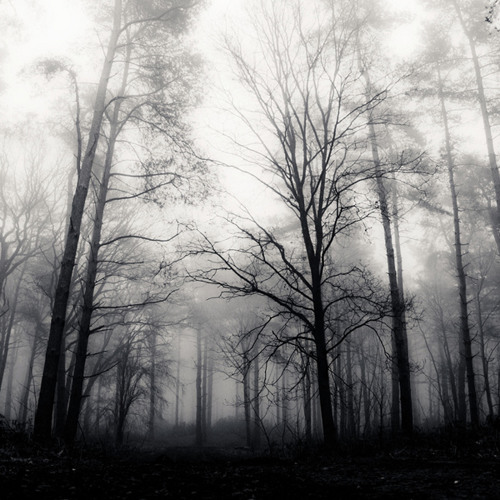 Mark Slee - Parasomnia: The Soft Haunting [October 2014]