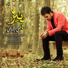 Ali Abdolmaleki - Paeiz