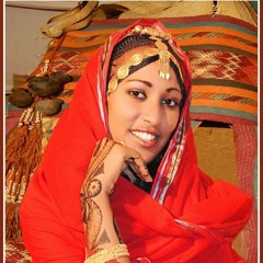 Eritrean bilen song mehamed afa blina