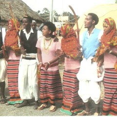 Eritrean bilen song andom teke.e alelewo