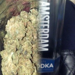 Turnt up music  at pyramid