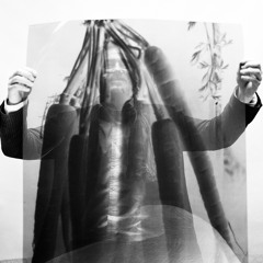 Dispatches: Allan Jenkins