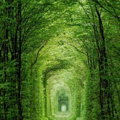 Latidos (Samuel, Jesús, Piero)