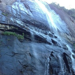 Golden gate apple saws at The crack house