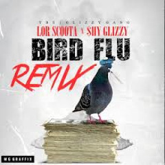 BirdFlu FreeStyle