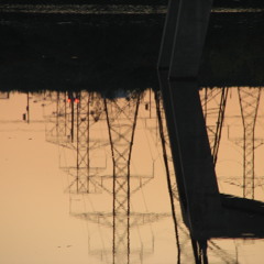 A Thousand Forms of Mind - Grooves