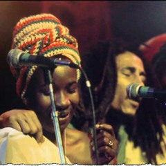 REGGAE NOT RIDDIM VOL 3