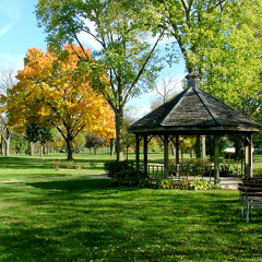 Kissed You In The Park