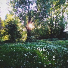 little.farres
