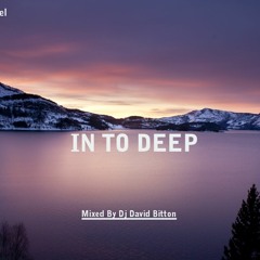 In To Deep Vol No 1  (Mixed By Dj David B)