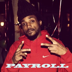 PAYROLL WANT TOO
